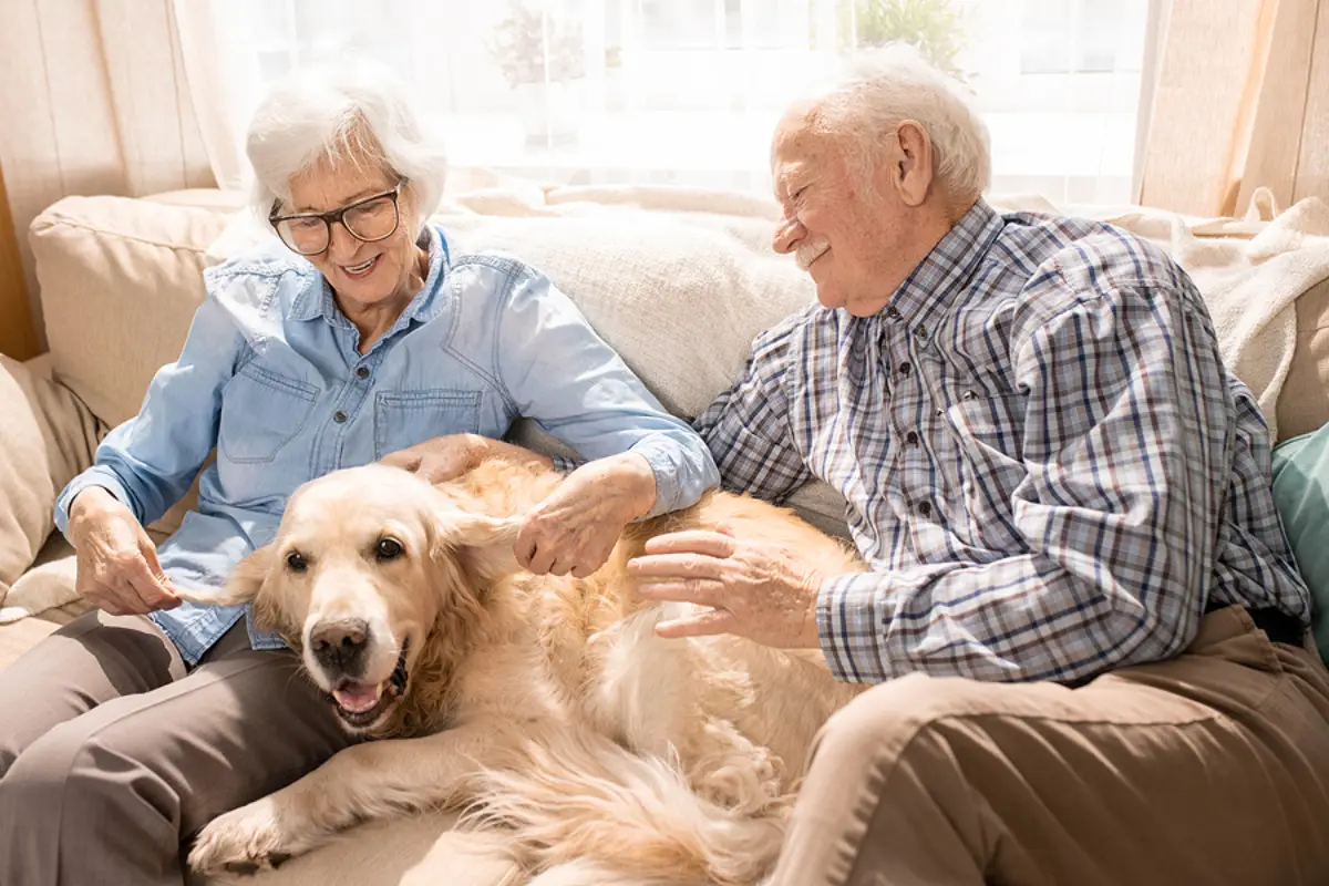 The Pet-Friendly Rental Advantage: How DFW Landlords Can Win with the Right Policies
